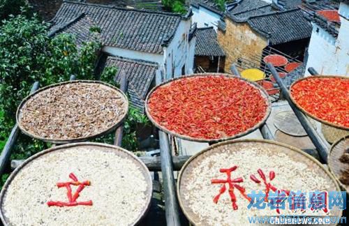 ���������ʳ�{�B����ꎝ��� ֔�������ϻ���